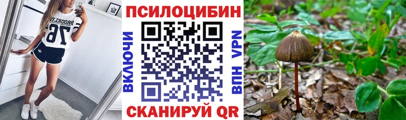 Галлюциногенные грибы Psilocybine cubensis  Купить  Надым 